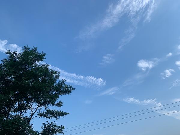 爱7号那里有卖（爱7号是什么东西）