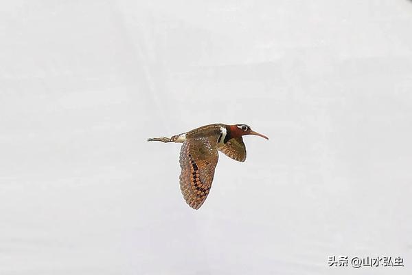 6205345905_d59a564256-160x160