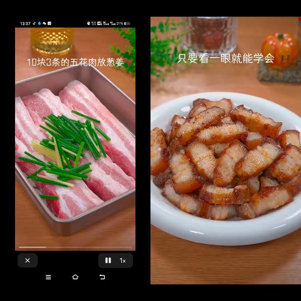 红烧肉怎么烧的又嫩又好吃视频教程下载_红烧肉怎么烧的又嫩又好吃视频教程下载