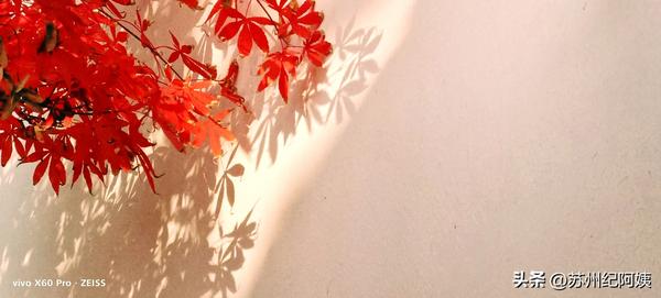 手机投影到墙上(手机投影到墙上需要什么设备)