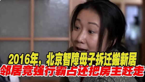 鸠占鹊巢的故事(鸠占鹊巢的故事视频)