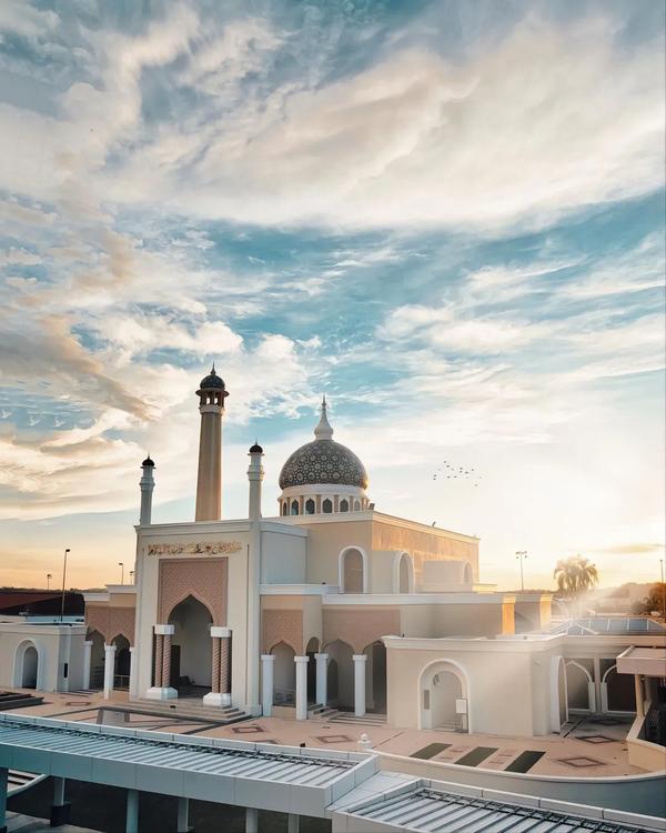 华人在文莱的地位(华人在文莱的地位文莱人口)