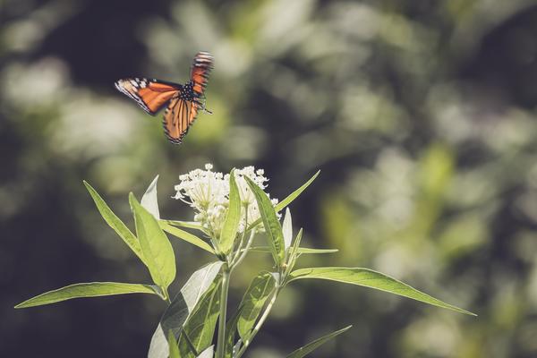 怎么创建网站相册（怎么创建网站相册权限）