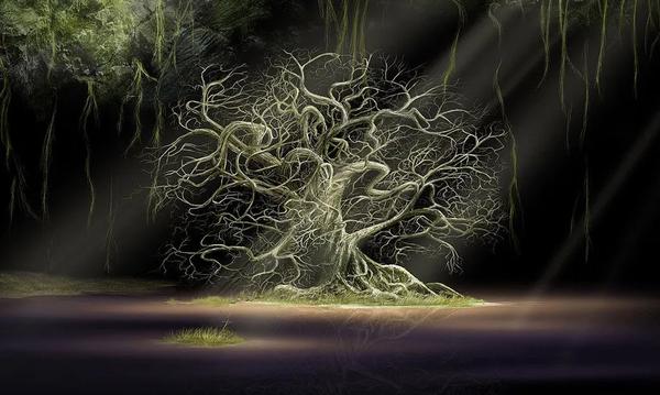 梦到一大帮人送死人上山(梦到一大帮人送死人上山便炮想得正)