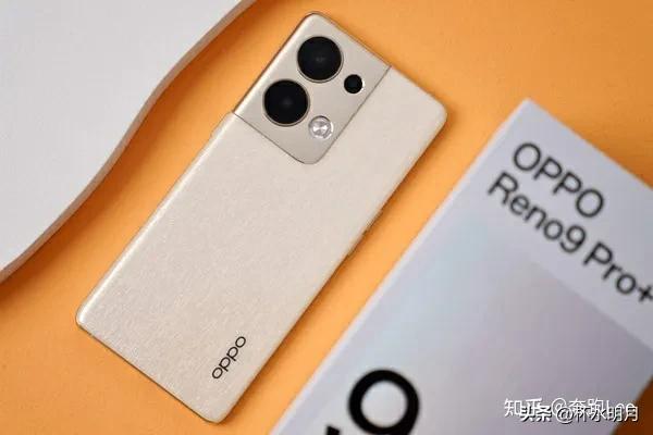 安静如鸡百科（安静如鸡这个词怎么来的）