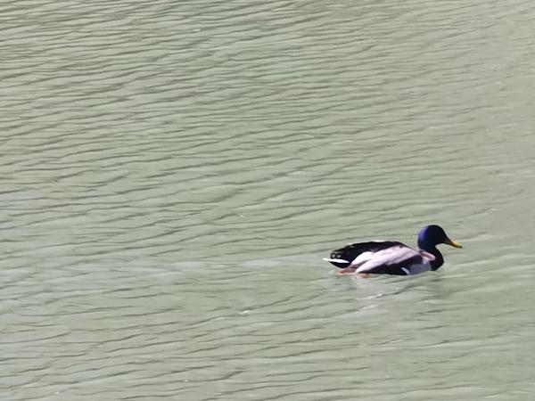 江西省的来历简介（江西省名称的来历）