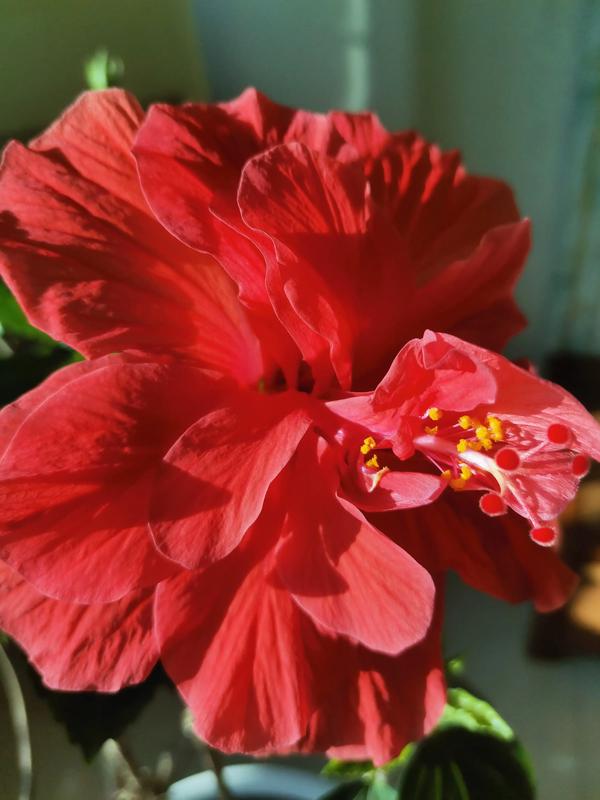 这游戏也太真实了（这游戏也太真实了TXT百度云）