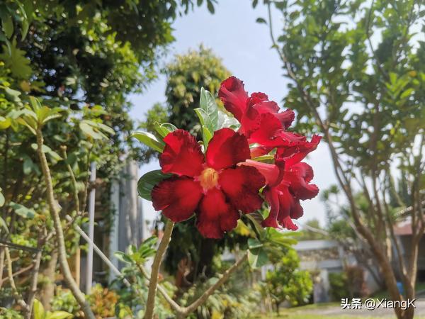 马騳骉能做人名吗（马人起什么名字好）