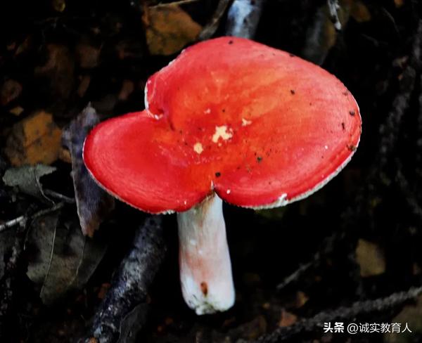 6205345905_d59a564256-160x160