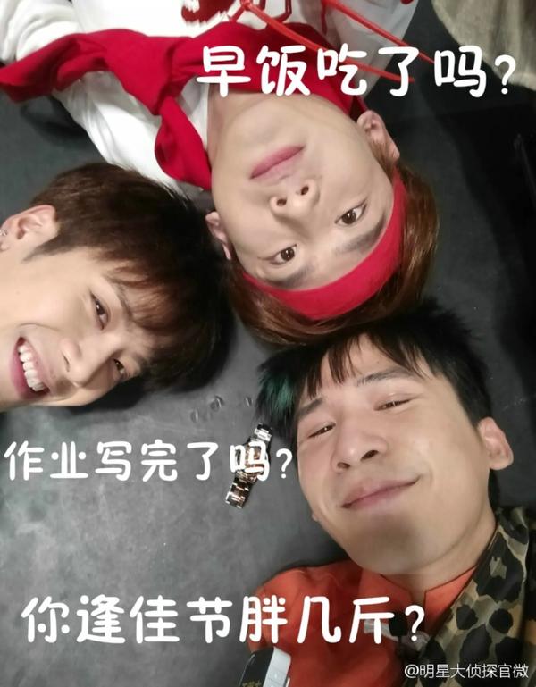 明星大侦探用会员吗(什么软件看明星大侦探不用会员)