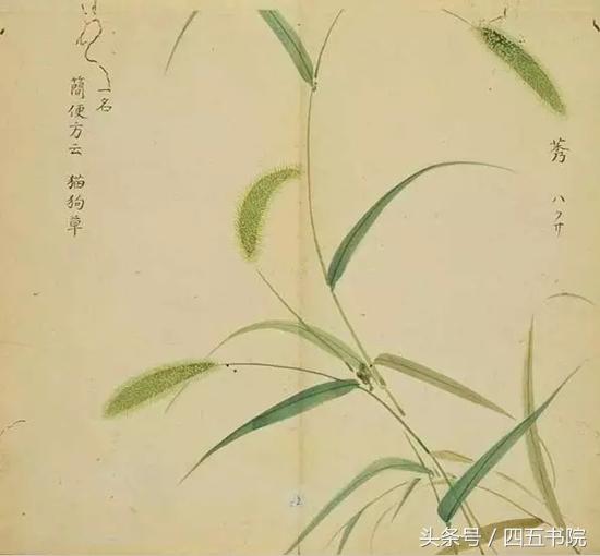 lz说的是桀骜吧桀骜不驯一般形容有理想抱负敢于闯荡敢于干大事的人