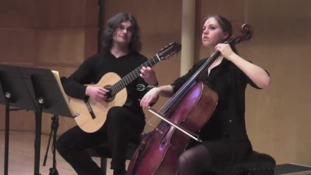 曲谱简谱 大提琴天鹅这一段描述的是什么