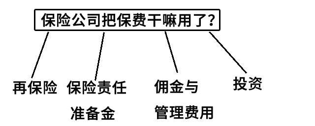 每年利润几百亿！真的一味靠拒赔赚钱？揭秘保险公司主要盈利真相