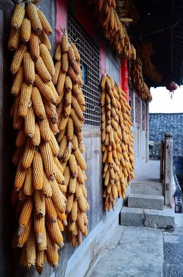 春节不可辜负！这六个重庆周边旅游景点，不看后悔~