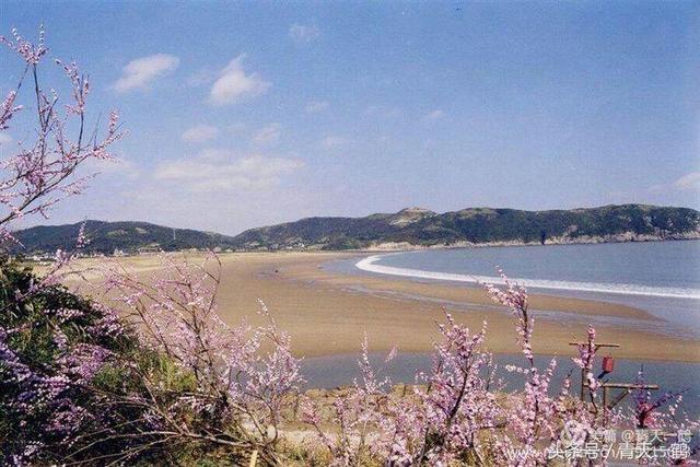 洗心湯