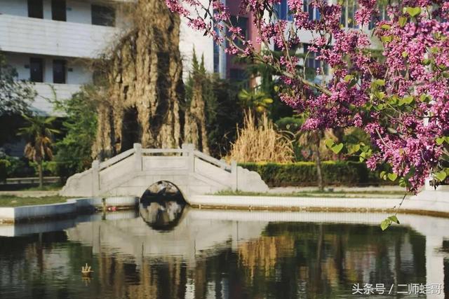 离毕业还有20多天，你还可以在二师做这20件事