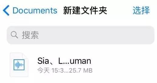 iOS11玩机技巧：音乐发烧友必备，教你如何播放FLAC无损音乐！