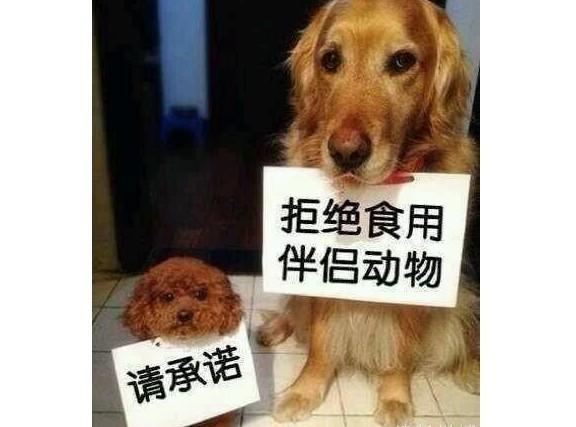 广西玉林狗肉节上万条狗被宰杀 肉都吃完了政府还在讨论