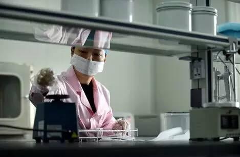 静默玫瑰绽放芬芳——记杭州下城分局DNA实验员常莹