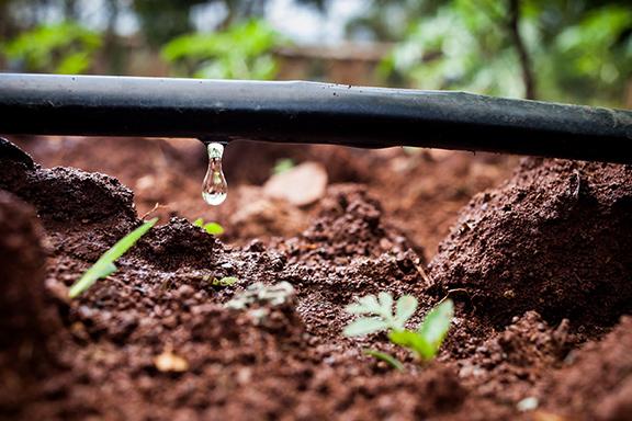 浅谈农田水利灌溉技术中的滴灌设计