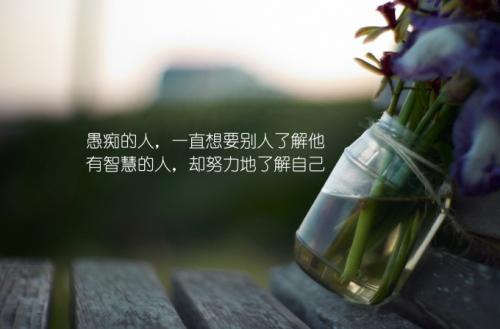 不是因为有了机会才争取，而是因为争取了才有机会