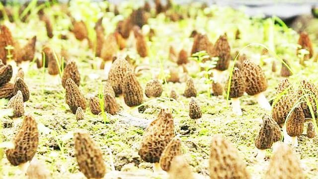 沈阳刻章地址电话