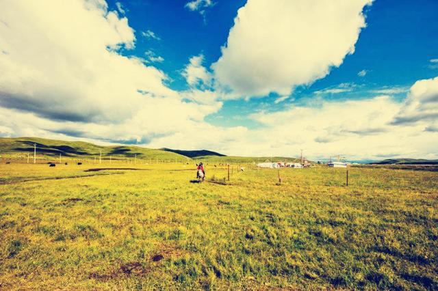 红原大草原旅游图片