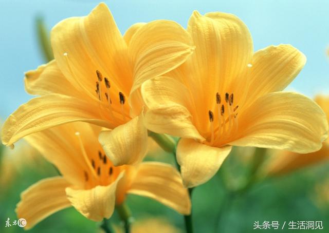 什么是真正的婚姻？请看一个40岁人的真实感悟