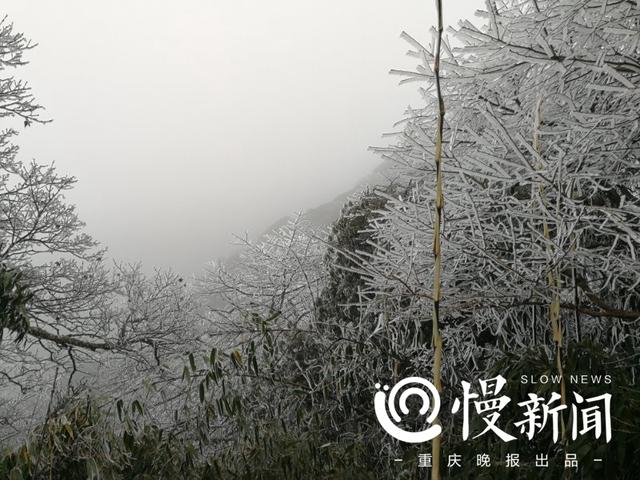 重庆金佛山天气预报