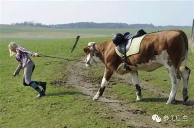 休闲农庄之体验活动：骑马已经OUT了！