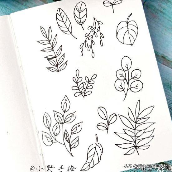 10种花草树木简笔画简笔画 植物简笔画教程,宝妈们的亲子活动素材