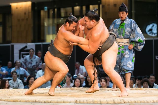 日本相扑运动员的最高资格是什么