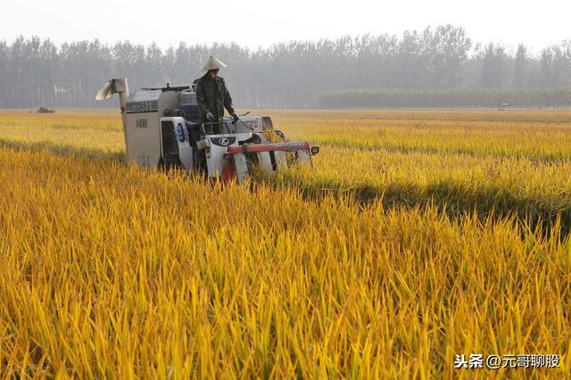 农业板块13只龙头股（名单），低估值，潜力十足