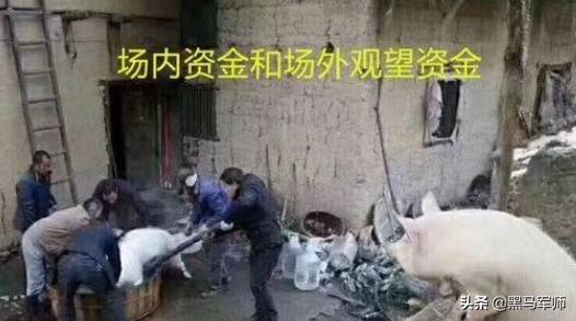 一位犹太人告诉你：谁是中国股市背后真正的“