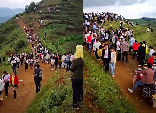 「山里」贵州回应山里有龙吟 专家说出真相让人大跌眼镜