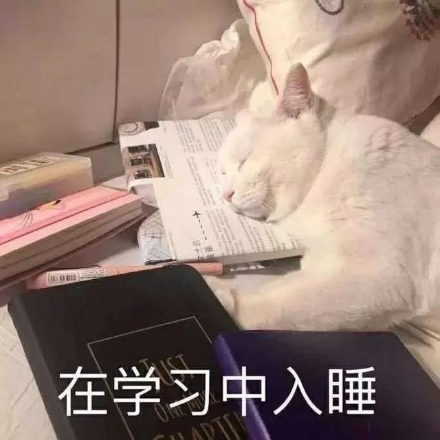 շСá߽񷨵⑫