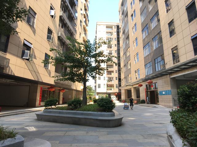 龙大高速附近三栋的花园1.4万，值得买吗？阿均实地踩盘（多图）