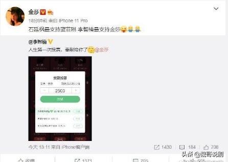 李智楠人生第一次投票为支持金莎狂投2500票