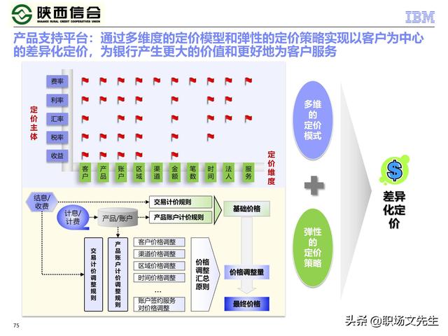 IBM咨询公司客户案例：110页业务发展与IT建设统-规划项目