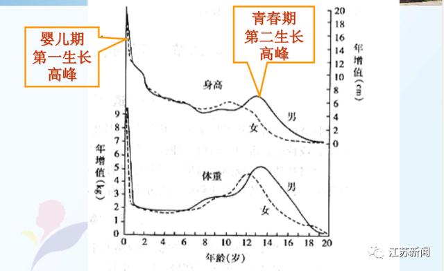 吃小公鸡喝骨头汤，能帮娃长身高吗？儿保专家说出真相，吓我一跳