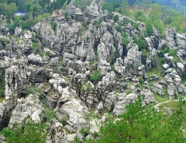 重庆最值得一去的景区，夏天的避暑胜地，被誉为“西南神农架”