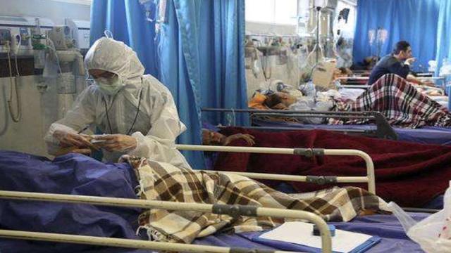 伊朗国宝级专家被暗杀，女护士因10万美元叛变，