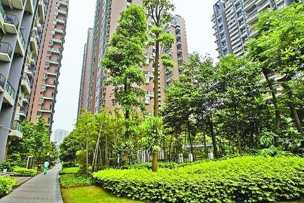 共工日报特约诗人：五绝·山城重庆