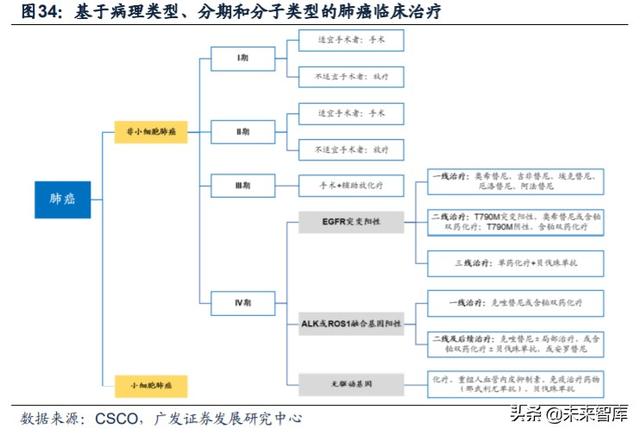 医药行业专题：第三代EGFR-TKI药物，第一大癌症造就百亿市场