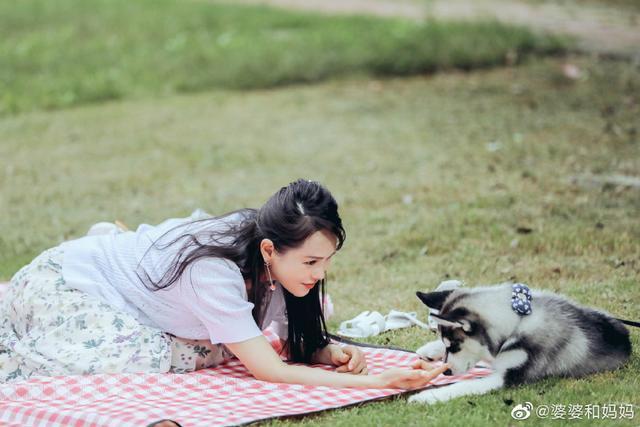 伊能静话太多还玻璃心？节目被秦昊怼后发生争吵，谈原生家庭泪崩