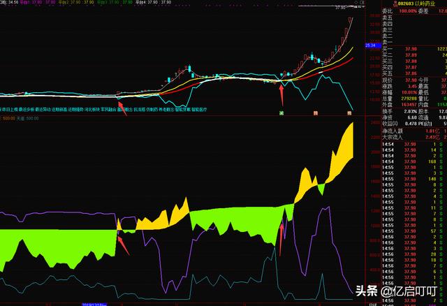 再追剁手大家看着办