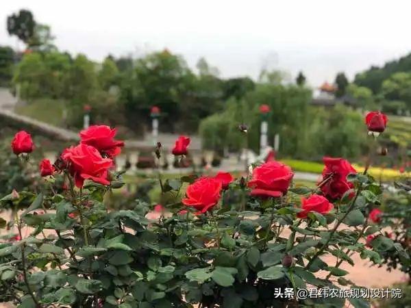 黔北拾味——遵义美食＋民宿体验之旅