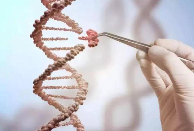染色体、DNA、基因、RNA傻傻分不清？它们到底有什么区别？
