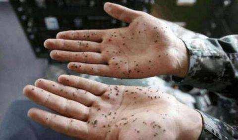 世界上最“危险”的动物，种类高达3000种，最密