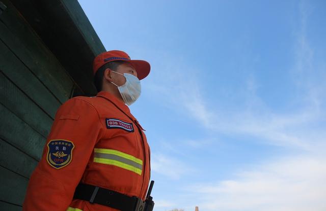 坚守在绿色林海中的火焰蓝